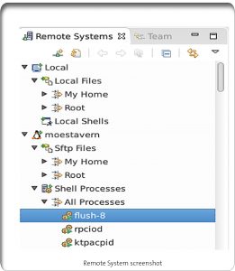 Remote System Explorer (Bild: Linutronix GmbH)